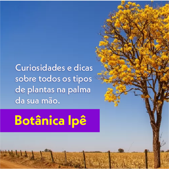 Banner de chamada para a Botânica Ipê