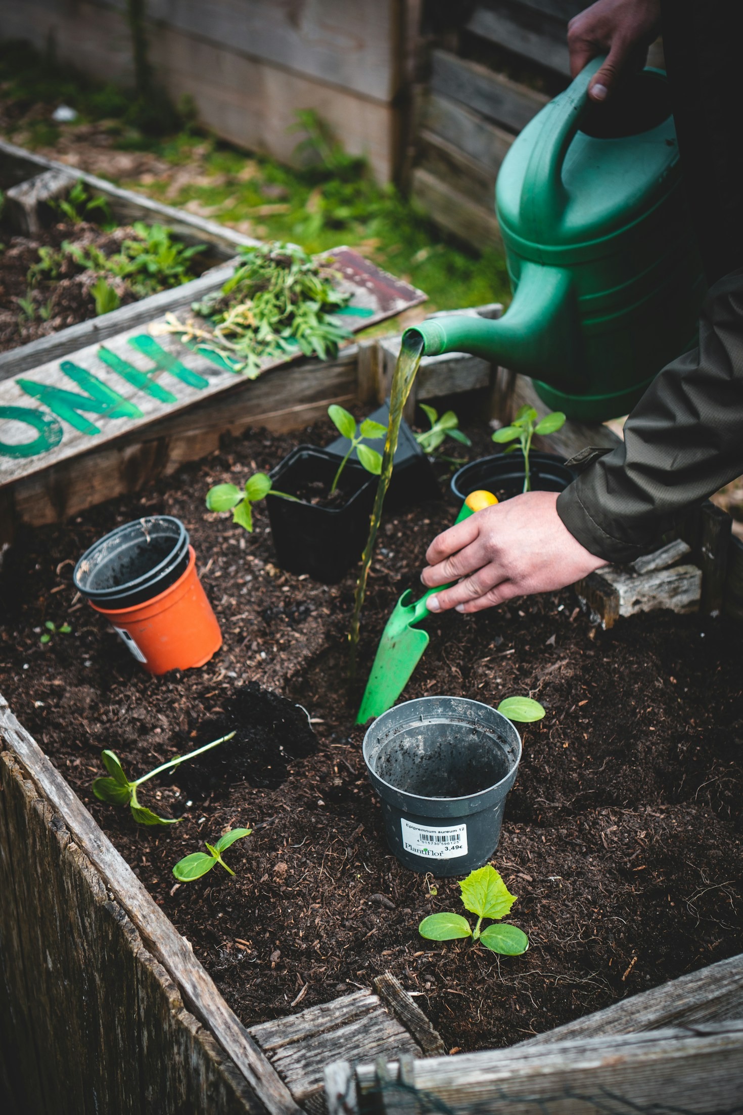 Plantas de sombra para apartamentos modernos